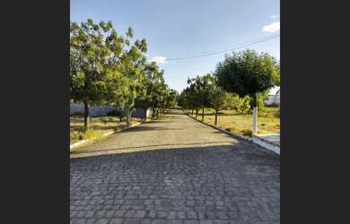 Imagem: O terreno está localizado em Araripina, PE à venda por R$50.000