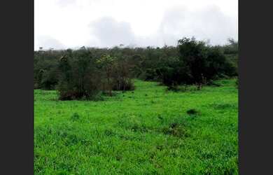 Imagem: O terreno possui 5.900m² de Área e está localizado em Centro
