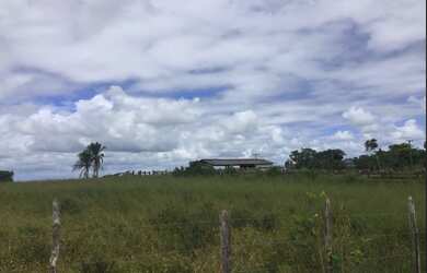 Imagem 2: FAZENDA EM SÃO FELIPE-BA