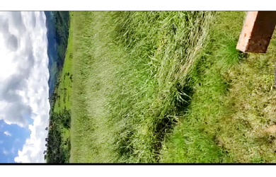 Imagem 2: Vendo fazenda de 617 alqueires região de Governador Valadares as margens da BR 116