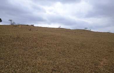 Imagem: A fazenda e está localizado em Piedade Dos Gerais, MG à venda