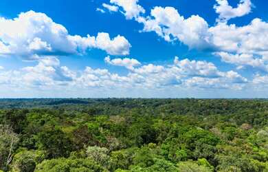 Imagem 4: Grandes Áreas na Amazônia, documentadas