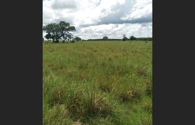 Imagem: Fazenda no municipio de Araguacema - TO