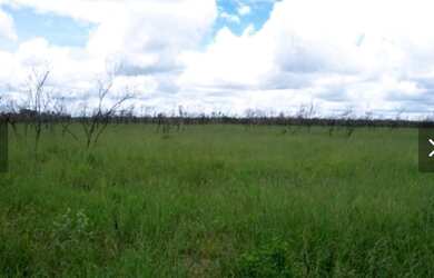 Imagem: A fazenda possui 4.400.000m² de Área e está localizado em