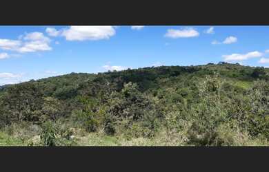 Imagem 10: Fazenda de 110 há em São Tiago