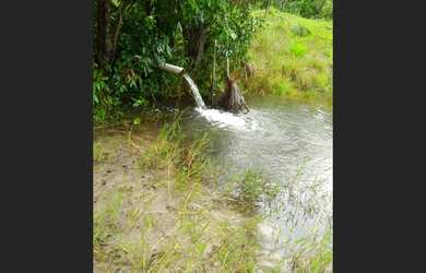 Imagem 6: 110 Alqs Dupla Aptidão Rio Beira Asfalto Região Palmas TO