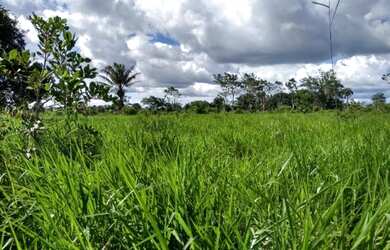 Imagem 1: R250 mil reais chácara de 25 hectares com 14 hectares de pasto no Taua
