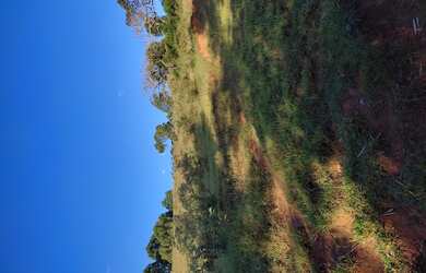 Imagem 5: Fazenda de 60 há São Tiago MG
