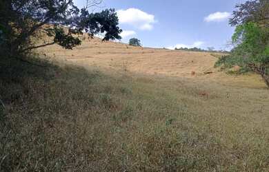 Imagem 7: Fazenda de 50 há em Crucilândia MG