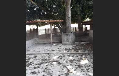 Imagem: A fazenda e está localizado em Piedade Dos Gerais, MG à venda