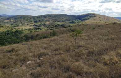 Imagem 2: Fazenda de 110 há em São Tiago MG