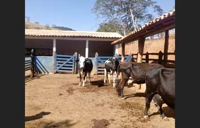 Imagem: A fazenda está localizado em Cláudio, MG à venda por