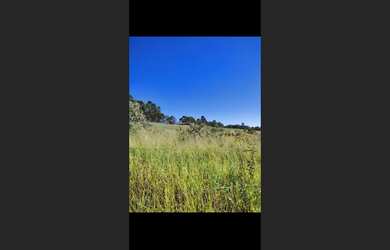 Imagem 7: Fazendinha de 15 ha em São Tiago