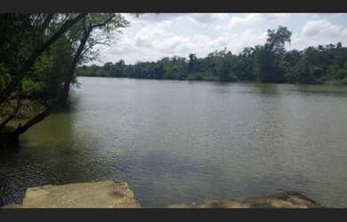 Imagem 10: 104 hectares,45 mil pés de açaí produzindo R$2 Milhões de reais, há...