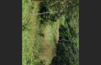 Imagem 7: Excelente fazenda em Lençóis