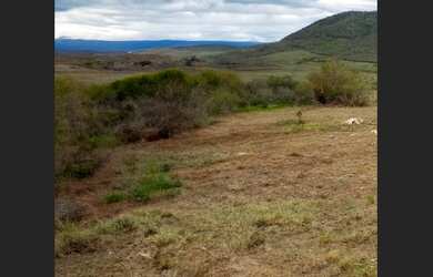 Imagem: O terreno possui 8.000m² de Área e está localizado em Caldeirão