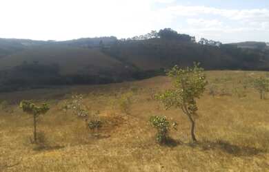 Imagem: A fazenda e está localizado em São Tiago, MG à venda por