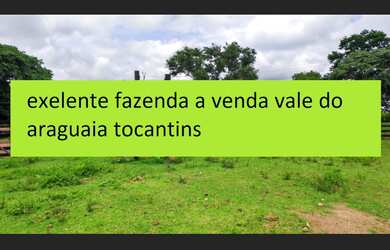 Imagem 3: 163 Alqs Pronta Planta Ótima Região Formoso do Araguaia TO