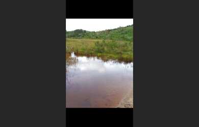 Imagem: A fazenda está localizado em Desterro de Entre Rios, MG à