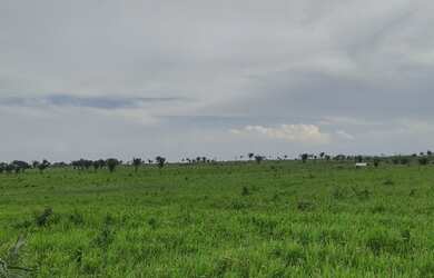 Imagem: A fazenda possui 1.000.000m² de Área e está localizado em