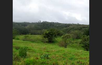 Imagem: O terreno possui 9.100m² de Área e está localizado em Jacobina