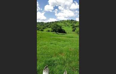 Imagem 4: Fazenda em Pedrão-Ba. 200.000m² de Área