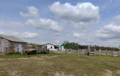Imagem 4: Fazenda no Pará 640 alqueires com 450 em pasto por R$28.160/alqueire