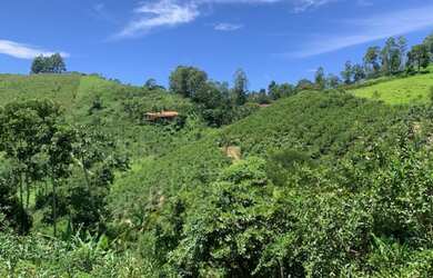 Imagem: O terreno possui 1.559m² de Área e está localizado em Nova