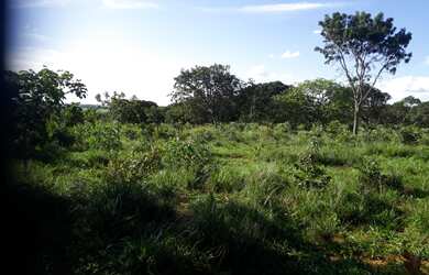 Imagem 7: Fazenda de 74 há em Cordisburgo MG