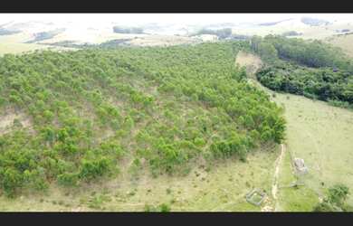 Imagem: A fazenda está localizado em Piedade Dos Gerais, MG à venda