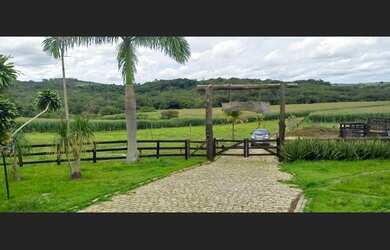 Imagem 15: Fazenda de 420 há em Oliveira