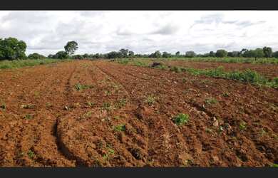 Imagem: A fazenda está localizado em Jaú do Tocantins, TO à venda