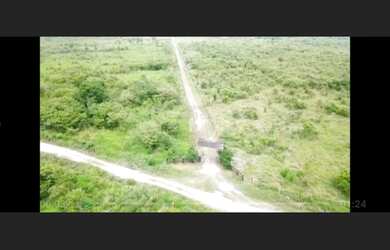 Imagem 6: R$600 mil reais fazenda de 34 Alqueires em Paragominas Pará