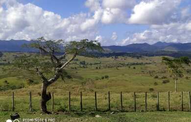 Imagem 3: Fazenda Itapé/BA. 1.400.000m² de Área