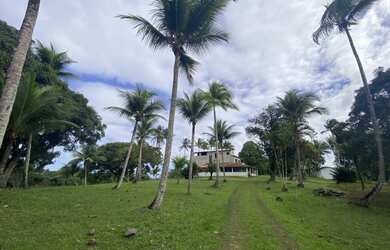 Imagem 11: Fazenda em jaguaripe. 1.000.000m² de Área, 4 Vagas na garageme3 Dormitórios