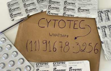 Imagem: O apartamento possui 2 Dormitórios, 1 Suíte, 1 Banheiro, 1