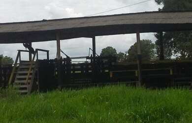 Imagem: A fazenda possui 2129600-0m² de Área e está localizado em