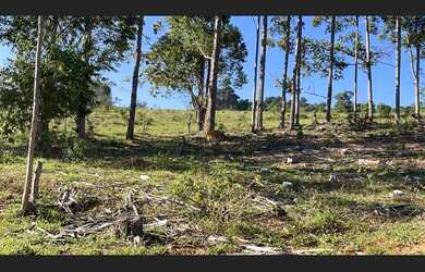 Imagem 3: Fazenda de 71 há em São Tiago MG