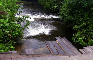 Imagem: A fazenda está localizado em Pindorama do Tocantins, TO à