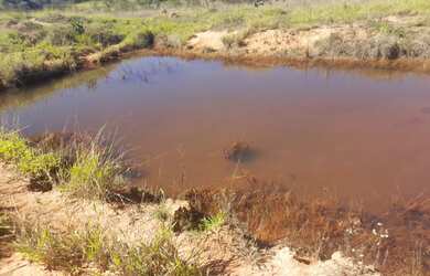 Imagem 7: Fazenda de 21 há em Itapecerica MG