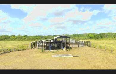 Imagem 6: 400 hectares com pasto pra gado no Pará por R$2 milhões fica passando...