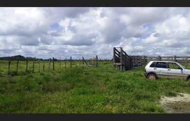 Imagem 8: R$500 mil fazenda 31 alqueires passando Paragominas toda aberta sentido...