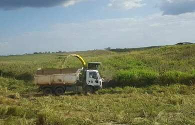 Imagem 8: Fazenda no Pará 5.578 alqueires por 150 milhões de reais dupla aptidão