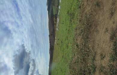 Imagem 6: Fazenda de 60 há São Tiago MG