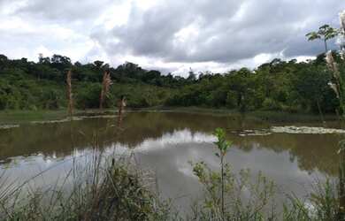 Imagem 2: 300 hectares fazenda a 130 km de Belém toda documentada por R$3 milhões
