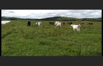 Imagem 5: Fazenda de 72 há em Oliveira MG