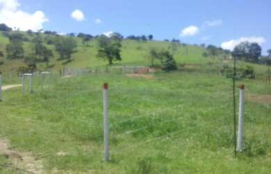 Imagem 5: Vendo Fazenda 215 hectares casas 12kms Palmópolis MG com Rio, 33 998000931,...
