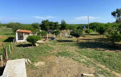 Imagem 16: Chácara a 8km de Salgueiro