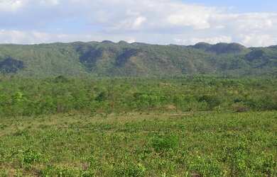 Imagem 2: 250 Alqs Plana Cultura Bruta Região Paranã TO