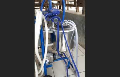 Imagem 10: FAZENDA 45 KM CAIAPONIA-GO